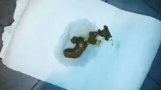 Pooping Scat tube video Scat porn Best Porn Tube Pooping gir-3