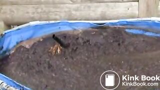 cow shit 3flv