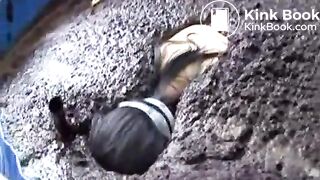 cow shit 3flv