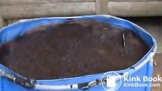 cow shit 3flv