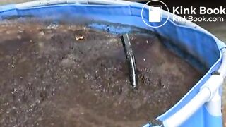cow shit 3flv