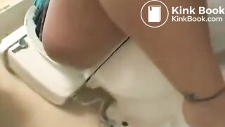 toilet farts