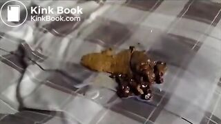 Poop 05