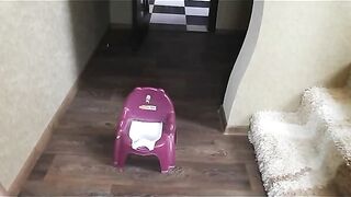 poop on potty 2