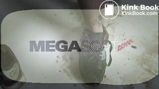 MEL_0023_T