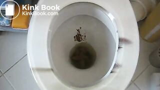 871769_Mc3B8L_95979_ORIGavi