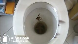 871769_Mc3B8L_95979_ORIGavi