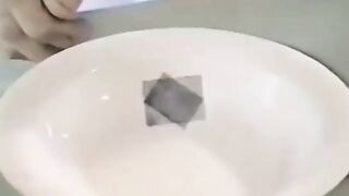 She Makes Shitty Dinners