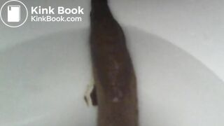 Toilet Cam Poop
