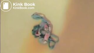 amateur panty piss and scat