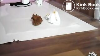 Scatrina morning shit SCAT