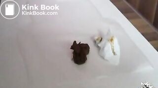 Scatrina morning shit SCAT