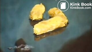 scat