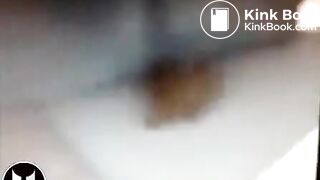 Stealth Ninja Shitter