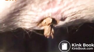 Blonde Amateur Fetish Slut Pee & Shit - OUR LOVE SHACK