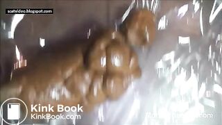 Pregnant Lady Pooping