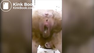 video (1)
