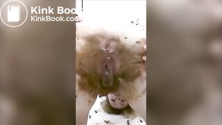 video (1)