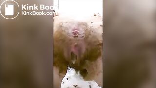 video (1)