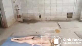 scat, spit, humiliation