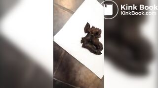 amateur girl pooping - Scat + Piss + Puke