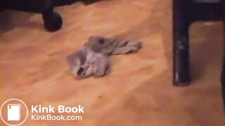 Scat: Eden in Leather (Rare)