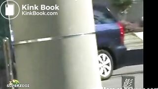 Shitting in a parking