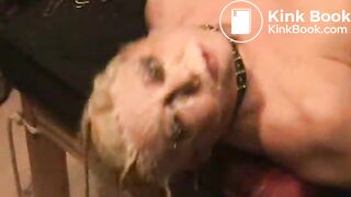 Antonia Vomit