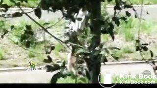 Girls Pooping In Public