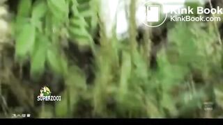 Girls Pooping In Public