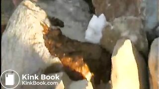 Lara Croft Scat Raider