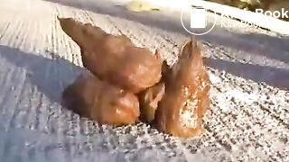 o shit - out