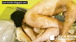 Extreme Scat Sex