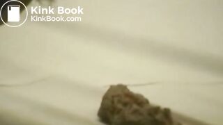 Asia extreme scat slave