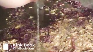 dgen-019 genki genki