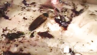 dgen-019 genki genki