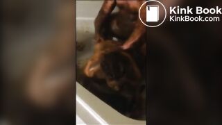 scat couple