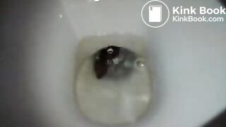 an unknown girl droppin a big one