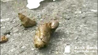 WildAssShit1