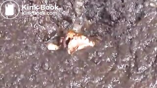 cow shit 4flv