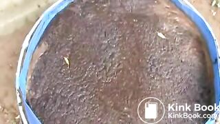 cow shit 4flv