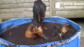 cow shit 4flv