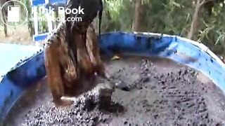 cow shit 4flv