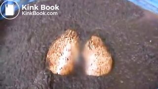 cow shit 4flv