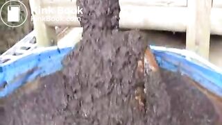 cow shit 4flv