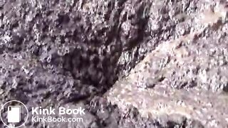 cow shit 4flv