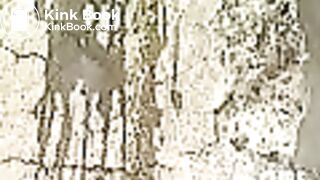 03037-kaf