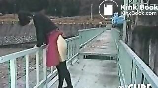 12069-07