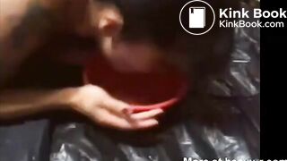 Shit, eat it, puke it, eat it again!