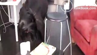 Pretty Negro Female Pooping